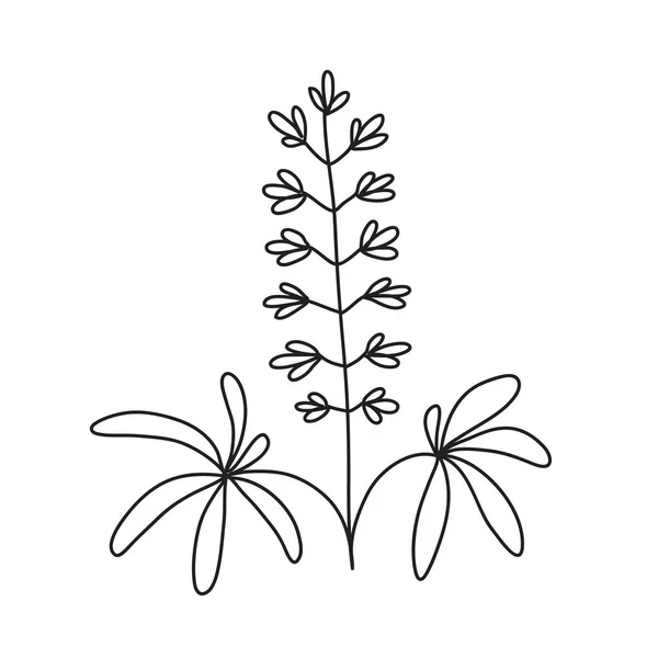 Vektorstockillustration Mit Einem Einzigen Objekt Pflanze Von Hand Gezeichnet Doodle — Stockvektor