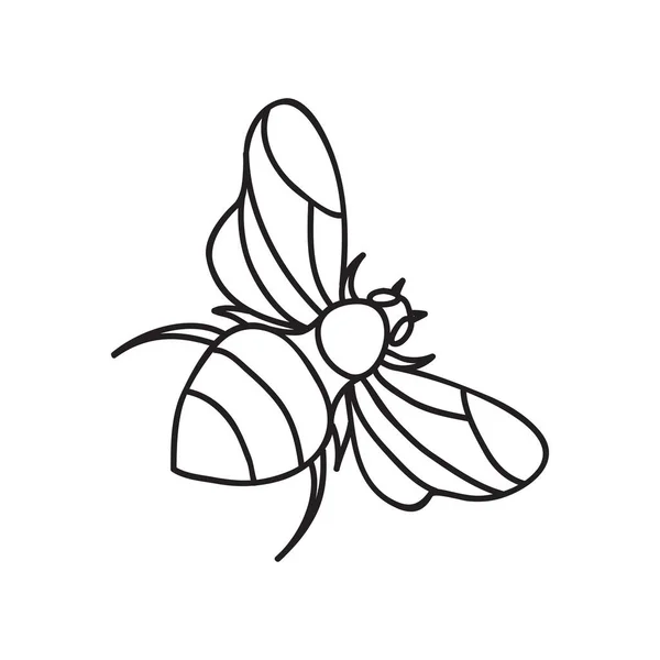 Vektorstockillustration Mit Einem Einzigen Objekt Insekten Handgezeichnet Doodle Stil Beispielelement — Stockvektor