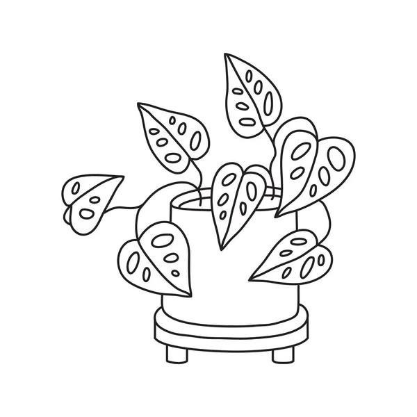 Vektorstockillustration Mit Einzelobjekt Hauspflanze Handgezeichnet Doodle Stil Beispielelement Isoliert Auf — Stockvektor