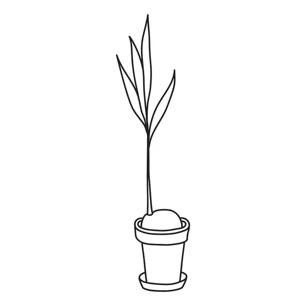 Vektorstockillustration Mit Einzelobjekt Hauspflanze Handgezeichnet Doodle Stil Beispielelement Isoliert Auf — Stockvektor