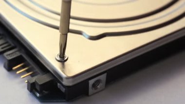 Dizüstü sabit disk tamir. Bir tornavida ile vidayı sökün. Makro.