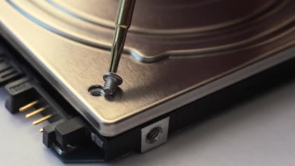 Le tournevis tourne la vis dans le couvercle du disque dur de l'ordinateur. Macro . — Video