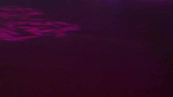Multi-gekleurde lichte vlekken en rook op de verdieping in een nachtclub. — Stockvideo