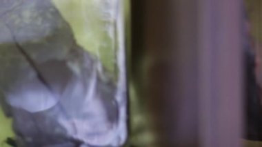 Formaldehit eğitim için kullanılan Laboratuvar rafta bir şişeyle hayvan organı. Kamera soldan sağa taşır..