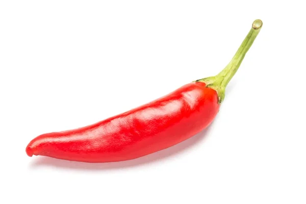 Pimiento rojo picante amargo sobre fondo blanco . — Foto de Stock