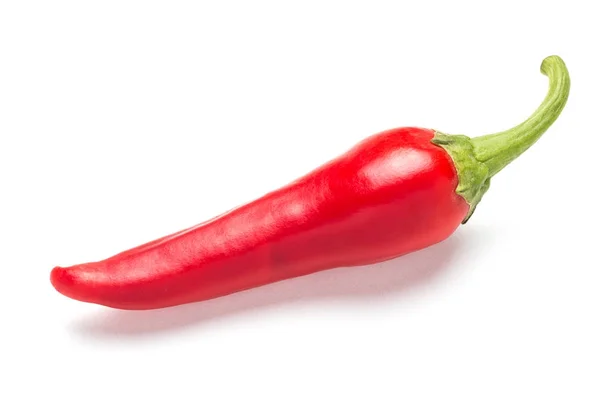 Pimiento rojo picante amargo sobre fondo blanco . — Foto de Stock