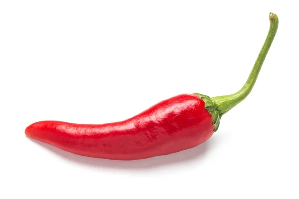 Pimiento rojo picante amargo sobre fondo blanco . — Foto de Stock