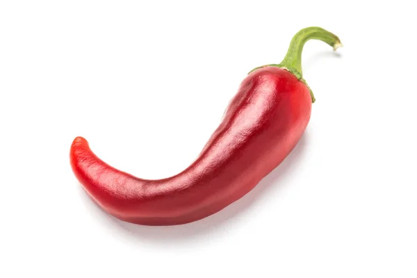 Piros chili paprika forró keserű fehér alapon. — Stock Fotó