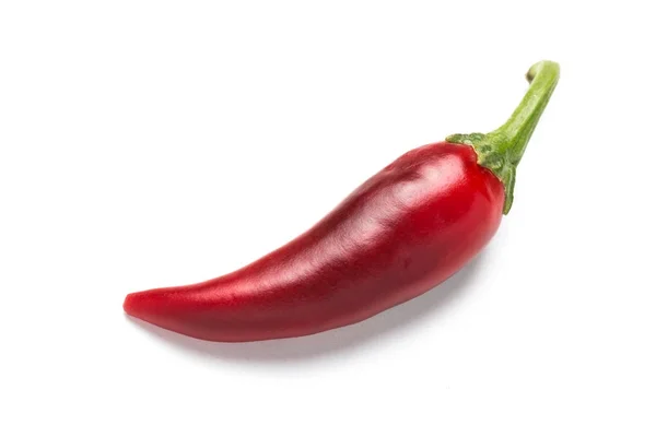 Pimiento rojo picante amargo sobre fondo blanco . — Foto de Stock