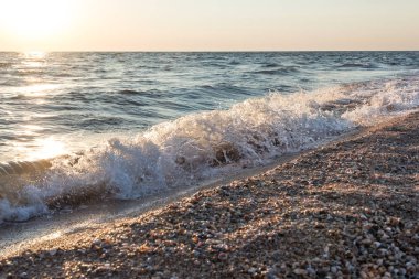 Kabukları ile sahilinde günbatımı, dalgalar deniz. Güzel arka plan.