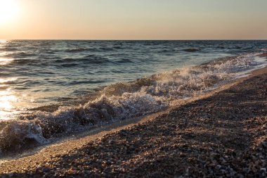 Kabukları ile sahilinde günbatımı, dalgalar deniz. Güzel arka plan.