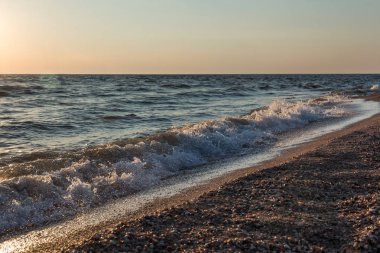 Kabukları ile sahilinde günbatımı, dalgalar deniz. Güzel arka plan.