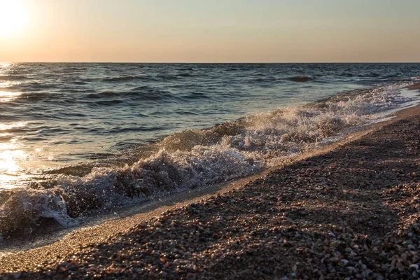 Kabukları ile sahilinde günbatımı, dalgalar deniz. Güzel arka plan.