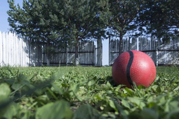 The concept of loneliness or kidnapping. A lonely red ball lies on the green grass in the courtyard against the background of a white fence with an open wicket. — Stock Photo, Image