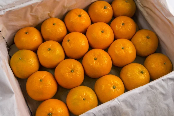 Veinte mandarinas naranjas. Las mandarinas grandes maduras se encuentran en un recipiente con un papel blanco de embalaje. Cosecha de cítricos . — Foto de Stock