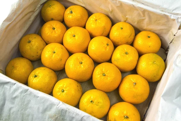 Las mandarinas inmaduras yacen una al lado de la otra en una caja con papel de embalaje blanco. Cosecha de cítricos. Engaño de los consumidores. Veinte mandarinas amarillas de mala calidad . — Foto de Stock