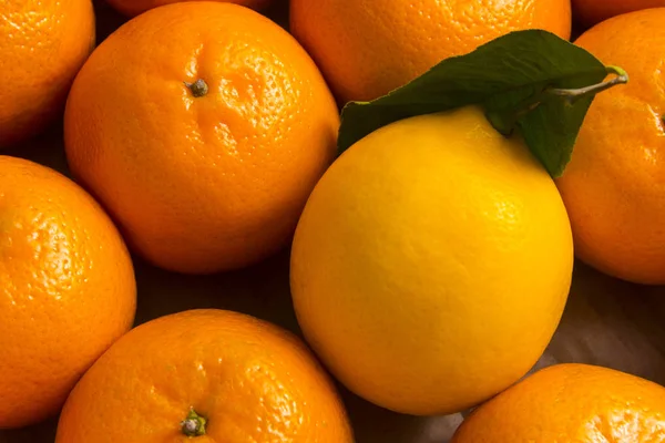 Un limón amarillo maduro con una hoja verde yace rodeado de mandarinas naranjas. Primer plano. Concepto cosecha de cítricos . — Foto de Stock