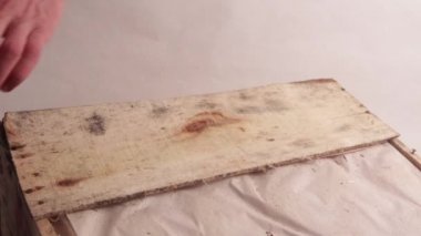 Yakın çekim. Geniş bir tornavida veya diğer bağlama aracı ile erkek el bir ahşap kutu açın. İkinci tahta kırma. Açık renkli. Tam Hd video işlenmemiş.