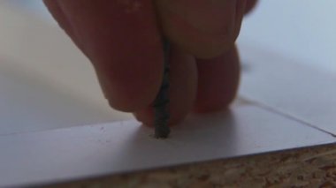 Makro. Yakın çekim. Mobilya usta parmakları beyaz Sunta deliğe siyah bir vida ekler.