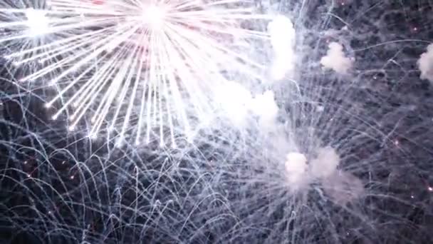Prachtige Heldere Flitsen Van Vuurwerk Zwarte Hemel Prachtige Vakantie Vuurwerk — Stockvideo