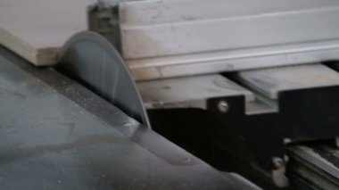 İşçi, yonga tahtasının kenarını dairesel testereyle testereyle kesiyor. Mobilya imalatı. Yakın plan. Video gerçek ses ve gürültü içeriyor..