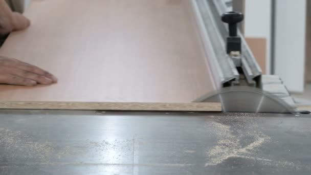 Atelier de fabrication de meubles. Un homme sur une machine avec une scie circulaire coupe une feuille de aggloméré. Entreprise de travail du bois. Gros plan . — Video