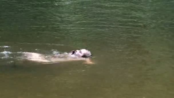 Ein Teenager Der Auf Dem Fluss Schwimmt Und Telefoniert Zelten — Stockvideo