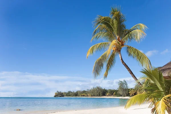 Mauritius - Africa - Spiaggia — Foto Stock