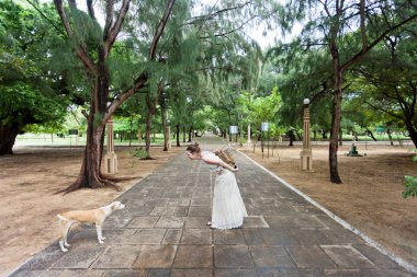 Toplantı köpekler St. Anne s Church, Sri Lanka