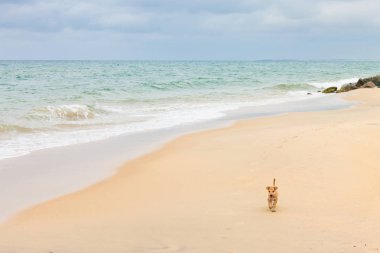 Dünya, Kalpitiya, Sri Lanka