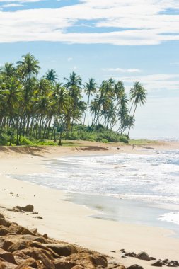 Sri Lanka, Rathgama - Rajga muhteşem doğal plaj manzara