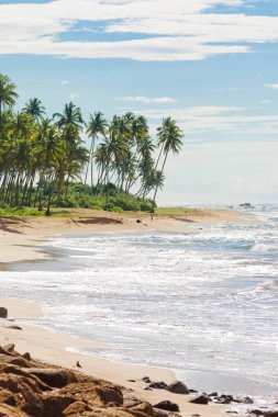 Sri Lanka, Rathgama - Rajgam huzurlu doğal plaj manzara