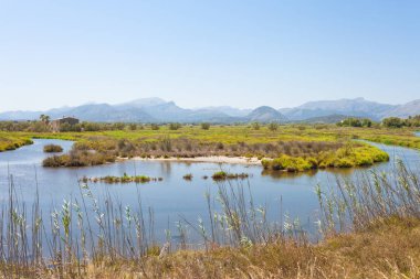 Alcudia, Mallorca - Mallorca güzel doğada Hiking bir