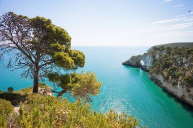 Grotta della Campana Piccola, Apulia - yalnız ağaca COA'ları