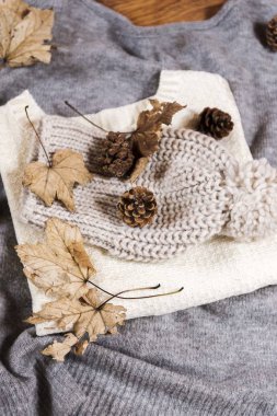 Kış kazak kuru yaprakları ve pinecones ile