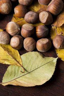 fındık. Hazel. fındık. Gıda arka plan