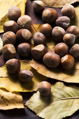 fındık. Hazel. fındık. Gıda arka plan