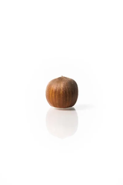 Hazelnut nut hazel — Stock Photo, Image