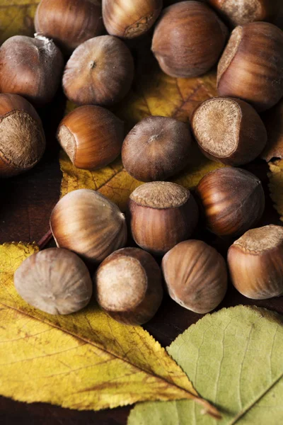 Ořechy. Hazel. lískové ořechy. jídlo pozadí — Stock fotografie