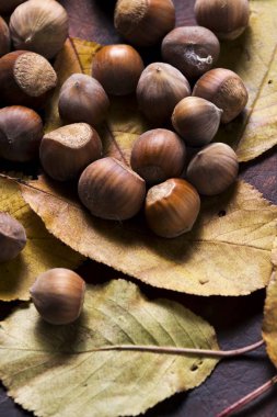fındık. Hazel. fındık. Gıda arka plan
