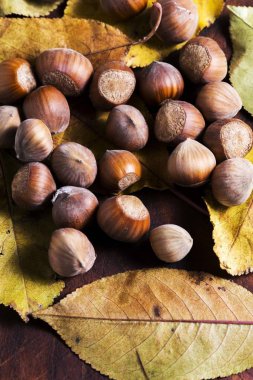 fındık. Hazel. fındık. Gıda arka plan