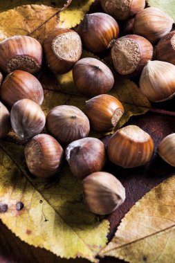 fındık. Hazel. fındık. Gıda arka plan