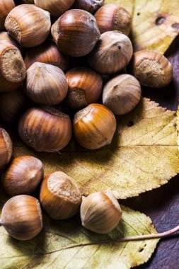 fındık. Hazel. fındık. Gıda arka plan