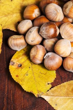 fındık. Hazel. fındık. Gıda arka plan