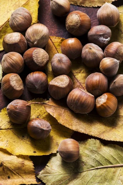 Nakrętki. Hazel. orzechy laskowe. jedzenie — Zdjęcie stockowe