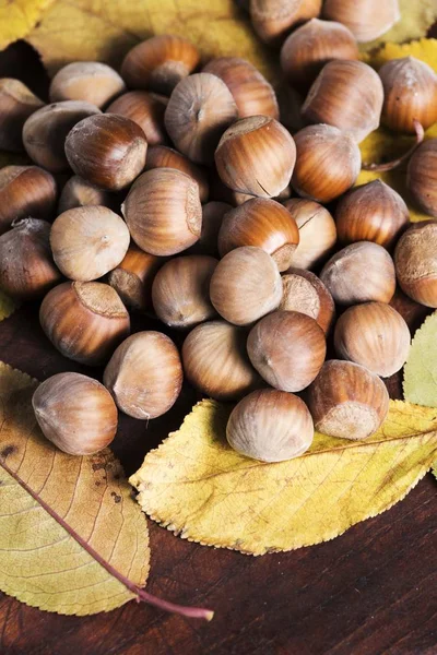 Nueces. Hazel. avellanas. antecedentes alimentarios —  Fotos de Stock