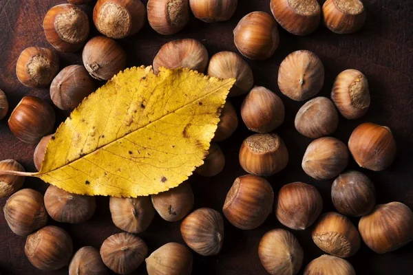 Nueces. Hazel. avellanas. antecedentes alimentarios —  Fotos de Stock