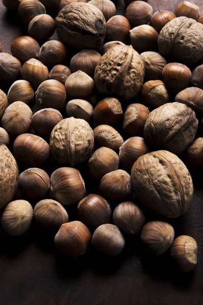 Valnötter och hasselnötter — Stockfoto
