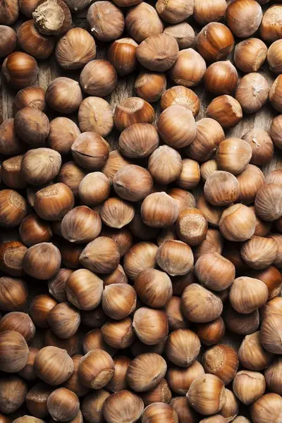 Hazelnuts сверху — стоковое фото