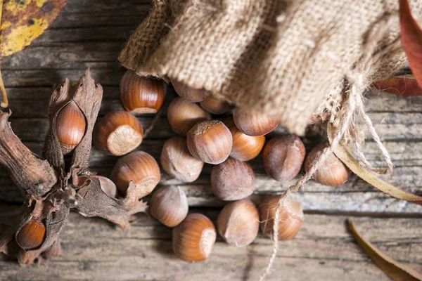 Sacchetto con nocciole — Foto Stock